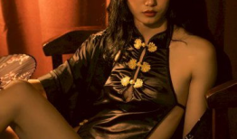 激情小说视频,激情小说视频的视觉盛宴